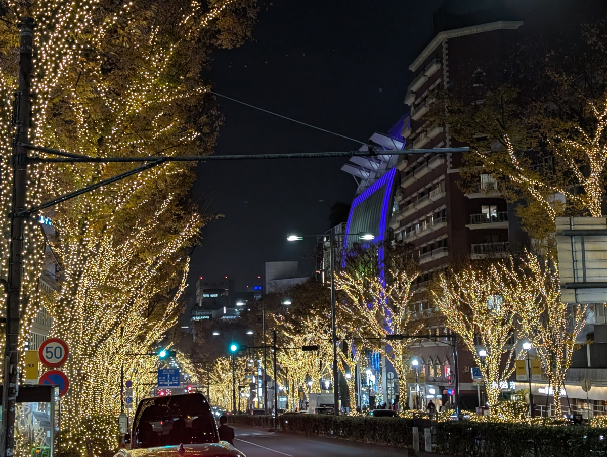 今、表参道が煌めいています！ 天使の窓～Christmas Fair 2025